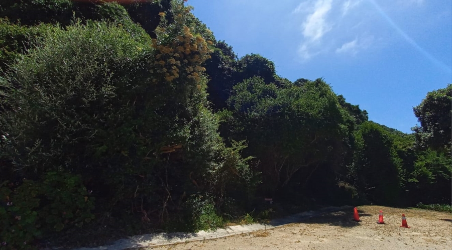 0 Bedroom Property for Sale in Wilderness Central Western Cape